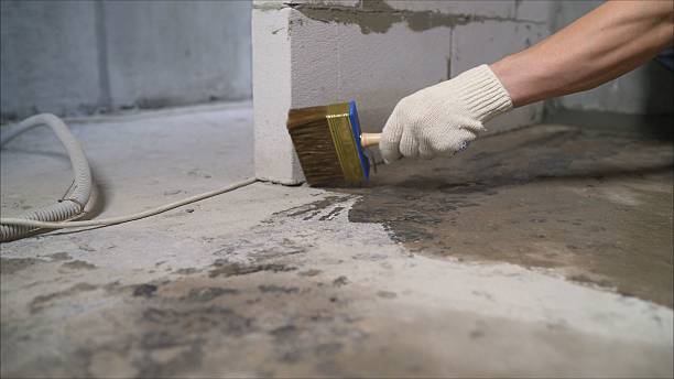 24/7 Emergency Wet Basement Repair experts in Sherwood, MI